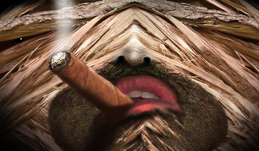 Creation of Woodstock: Step 9
